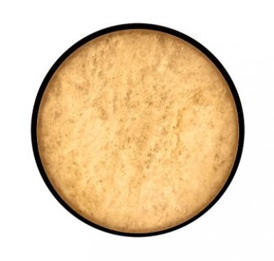 Auster Black with Alabaster Trim to Suit 24W LED Oyster